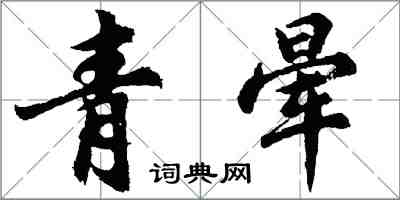 胡問遂青暈行書怎么寫