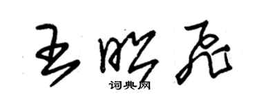 朱錫榮王昭飛草書個性簽名怎么寫