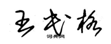 朱錫榮王民格草書個性簽名怎么寫