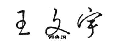 駱恆光王文宇草書個性簽名怎么寫