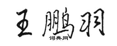 駱恆光王鵬羽行書個性簽名怎么寫