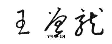 駱恆光王曾龍草書個性簽名怎么寫