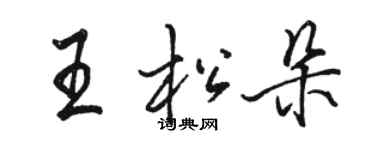 駱恆光王松朵行書個性簽名怎么寫