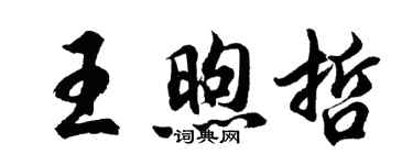 胡問遂王煦哲行書個性簽名怎么寫