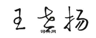 駱恆光王世揚草書個性簽名怎么寫