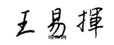王正良王易揮行書個性簽名怎么寫