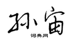 曾慶福孫宙行書個性簽名怎么寫