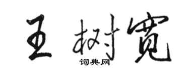 駱恆光王樹寬行書個性簽名怎么寫