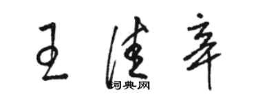 駱恆光王佳辛草書個性簽名怎么寫