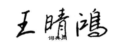 王正良王晴鴻行書個性簽名怎么寫