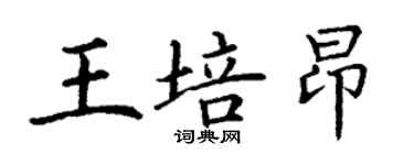 丁謙王培昂楷書個性簽名怎么寫