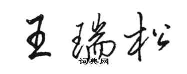 駱恆光王瑞松行書個性簽名怎么寫