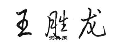 駱恆光王勝龍行書個性簽名怎么寫
