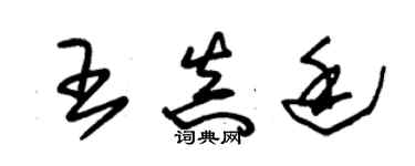 朱錫榮王真廷草書個性簽名怎么寫