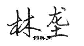 駱恆光林壟行書個性簽名怎么寫