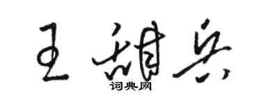 駱恆光王甜兵草書個性簽名怎么寫