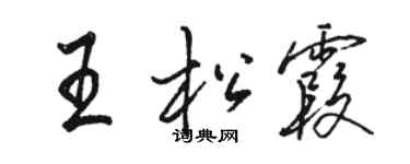 駱恆光王松霞行書個性簽名怎么寫