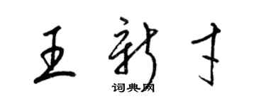 梁錦英王新才草書個性簽名怎么寫