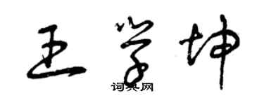 曾慶福王學坤草書個性簽名怎么寫