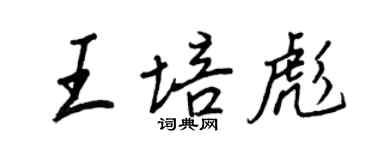 王正良王培彪行書個性簽名怎么寫