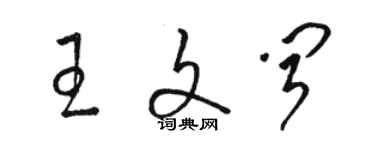 駱恆光王文聞草書個性簽名怎么寫