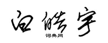 朱錫榮白皓宇草書個性簽名怎么寫