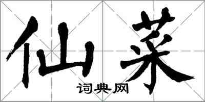 翁闓運仙菜楷書怎么寫