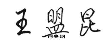 駱恆光王盟昆行書個性簽名怎么寫