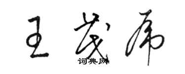 駱恆光王茂虎草書個性簽名怎么寫