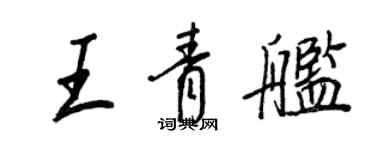 王正良王青艦行書個性簽名怎么寫