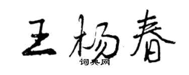 曾慶福王楊春行書個性簽名怎么寫