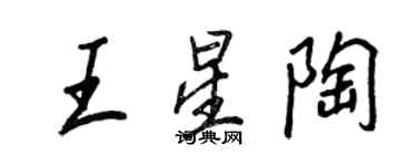 王正良王星陶行書個性簽名怎么寫
