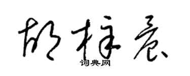 梁錦英胡梓晨草書個性簽名怎么寫
