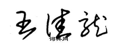 朱錫榮王佳龍草書個性簽名怎么寫