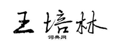 曾慶福王培林行書個性簽名怎么寫
