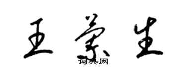 梁錦英王蘭生草書個性簽名怎么寫