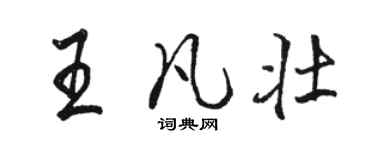 駱恆光王凡壯行書個性簽名怎么寫