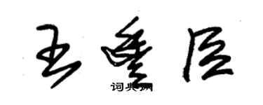 朱錫榮王豐臣草書個性簽名怎么寫