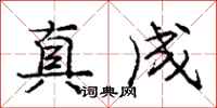 龐中華真成行書怎么寫