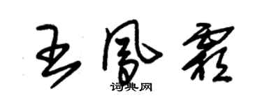 朱錫榮王鳳霜草書個性簽名怎么寫