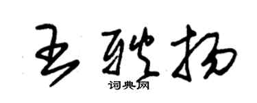 朱錫榮王耿揚草書個性簽名怎么寫