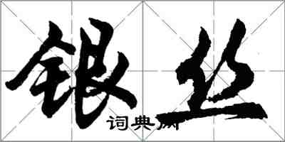 胡問遂銀絲行書怎么寫