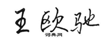 駱恆光王歐馳行書個性簽名怎么寫