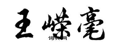 胡問遂王嶸毫行書個性簽名怎么寫