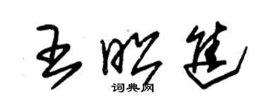 朱錫榮王昭進草書個性簽名怎么寫