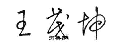 駱恆光王茂坤草書個性簽名怎么寫