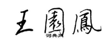 王正良王園鳳行書個性簽名怎么寫