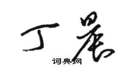 駱恆光丁晨草書個性簽名怎么寫