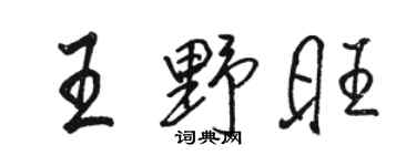 駱恆光王野旺行書個性簽名怎么寫
