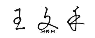 駱恆光王文禾草書個性簽名怎么寫